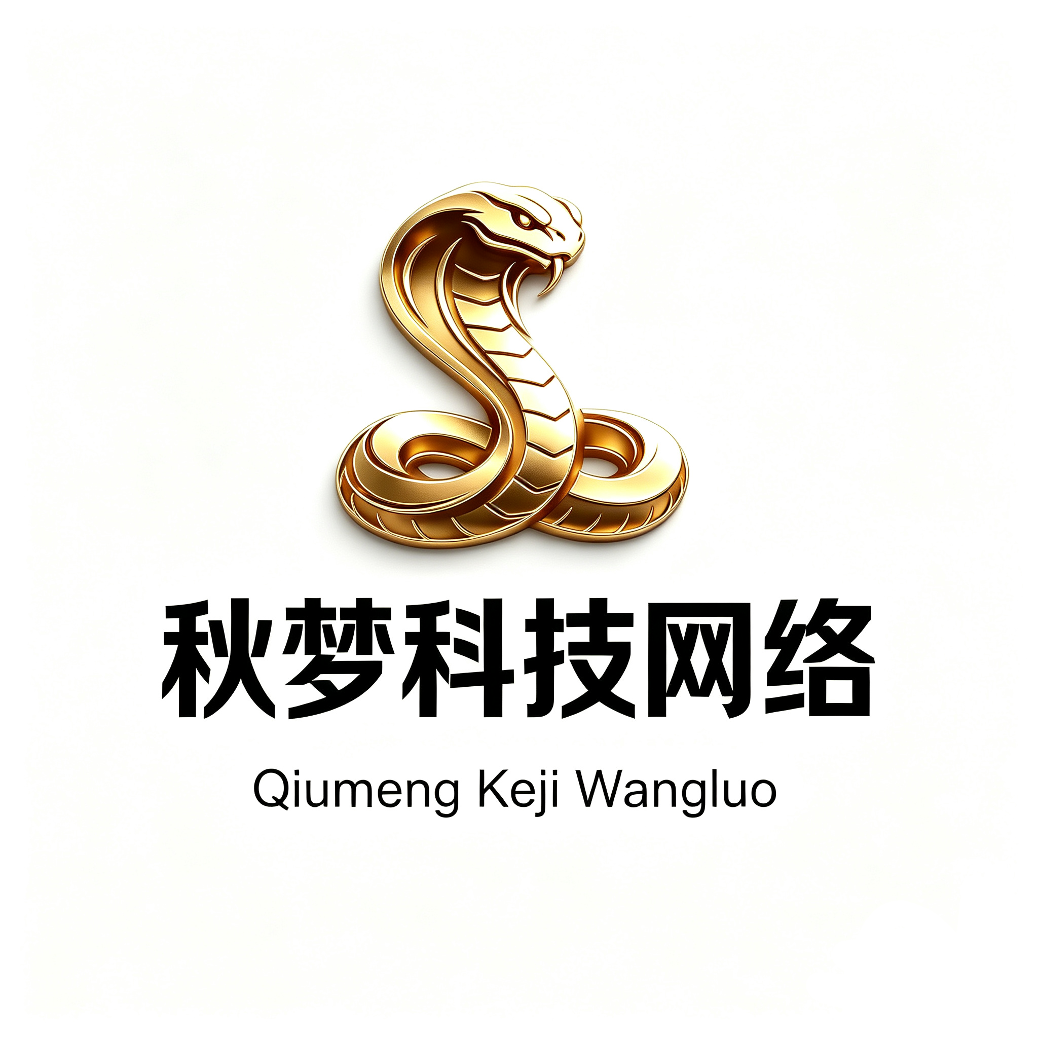 秋梦科技网络